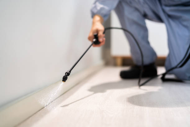 Licensed Pest Control service in Huntsville, TX - Show Me Pest Control