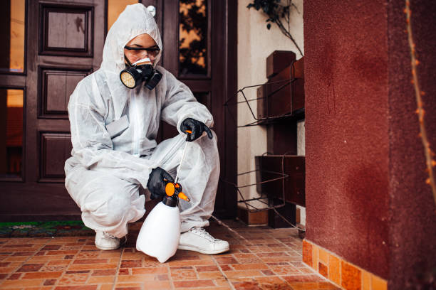 Reliable Wasp Removal contractor in Huntsville, TX by Show Me Pest Control